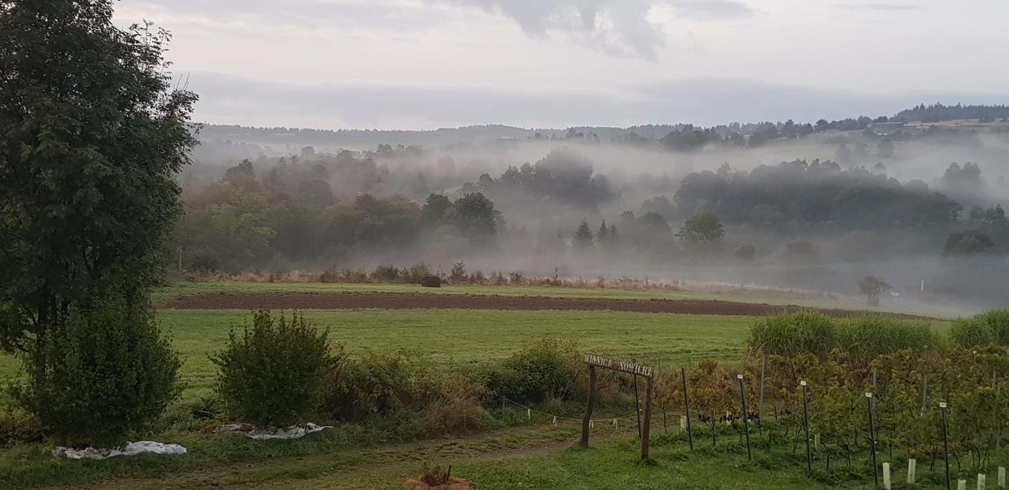 Utopia Dom Przy Winnicy Nowica Eksteriør billede